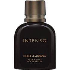 shumee Intenso Pour Homme parfumska voda v spreju 75 ml