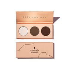 shumee Brow Like Wow paleta senčil za obrvi 3x1,3 g