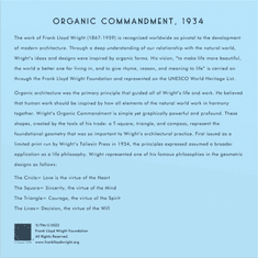 Galison Frank Lloyd Wright kvadratna sestavljanka: 500 kosov: organska geometrija