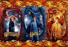 Clementoni Harry Potter Harry, Ron and Hermione puzzle 104 kosov