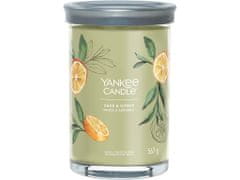 Yankee Candle Dišeča sveča Signature Tumbler v steklu velika Sage &amp