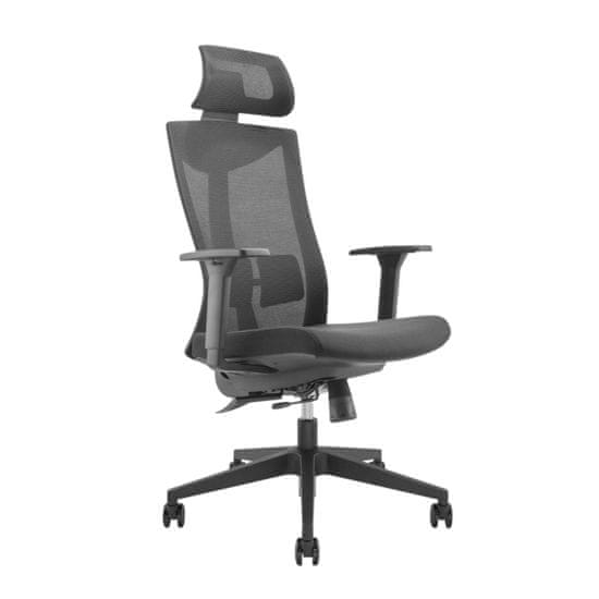 Ergo Office vrhunski ergonomski pisarniški stol z visokim naslonom ergo office, max 150kg, er-414