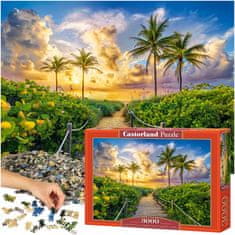 WOWO Puzzle Colorful Sunrise in Miami - CASTORLAND 3000 kosov - Colorful Sunrise in Miami, ZDA 92x68cm