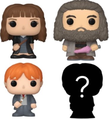 Hermione Granger, Rubeus Hagrid, Ron Weasley & Mystery