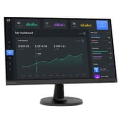 Lenovo D24-40 monitor, 60.45 cm (23,8"), FHD, VA, LED (67A2KAC6EU)