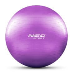 ACTIVESHOP Žoga za vadbo 65 cm NS-951 vijolična