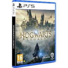 Sony WARNER BROS. Hogwarts Legacy PS5