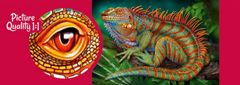 Cherry Pazzi Puzzle Neverjetni iguana 500 kosov