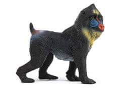 Schleich Schleich Wild Life - Opica Mandril, figurica za otroke 3+ 