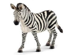 Schleich Schleich Wild Life - Samica zebre, figurica za otroke 3+ 