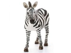 Schleich Schleich Wild Life - Samica zebre, figurica za otroke 3+ 