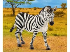 Schleich Schleich Wild Life - Samica zebre, figurica za otroke 3+ 