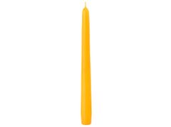 Emocio Klasična stožčasta sveča 22x240 rumene barve