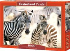 Castorland Puzzle Mlade zebre 1000 kosov