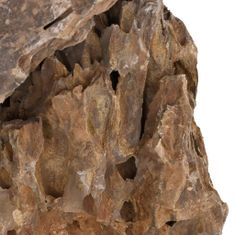 Vidaxl Zmajev kamen 25 kg mešane barve 10-30 cm