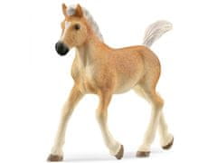 Schleich 13951 Schleich Konjeniški klub - Žrebe pasme Haflinger, figurica za otroke 5+ 