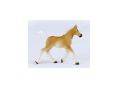 Schleich 13951 Schleich Konjeniški klub - Žrebe pasme Haflinger, figurica za otroke 5+ 