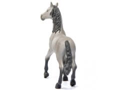 Schleich 13924 Schleich Horse Club - Španski mladi konj pasme Pura Raza Española, figurica za otroke od 5 let 