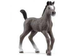 Schleich 13957 Schleich Horse Club - Žrebe pasme selle français, figurica za otroke od 5 let 