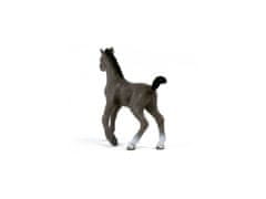 Schleich 13957 Schleich Horse Club - Žrebe pasme selle français, figurica za otroke od 5 let 