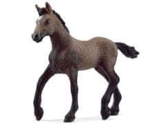 Schleich 13954 Schleich Horse Club - Žrebe pasme paso peruwiański, figurica za otroke od 5 let 