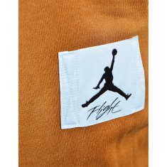 Nike Hlače obutev za trening rjava 188 - 192 cm/XL Air Jordan Essentials Statement