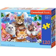 WOWO Puzzle za otroke - CASTORLAND Puzzle Kittens with Flowers - 120 kosov, za otroke 6+ let