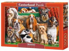 Castorland Puzzle Dog Club 3000 kosov