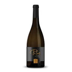 ptujska-klet Vino Rulandec Artisan Ptujska Klet 0,75 l