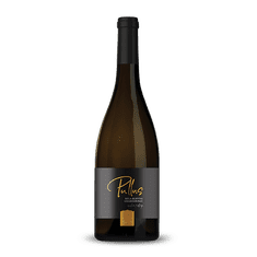 ptujska-klet Vino Bela klevna Artisan Ptujska Klet 0,75 l