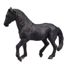 Mojo Andaluzijski konj črne barve