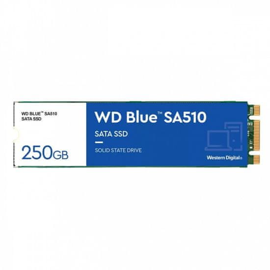 slomart SSD modri 250gb sa510 m.2 2280 wds250g3b0b