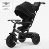  Trike Tricikel 6 v 1limited edition matt black