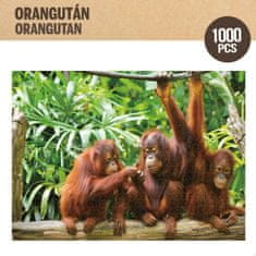 Colorbaby Sestavljanka Puzzle Colorbaby Orangutan 6 kosov 68 x 50 x 0,1 cm