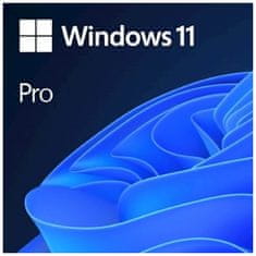 Microsoft Windows Pro 11 FPP slovenski, USB