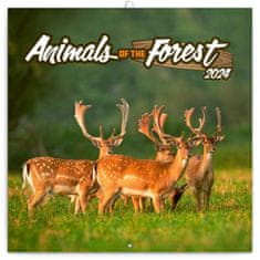 Koledarček 2024: Gozdne živali, 30 × 30 cm