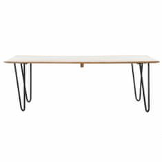 DKD Home Decor Sredinska miza DKD Home Decor Metal (115 x 60 x 40 cm)