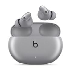 Beats Studio Buds +/ANC/BT/Wireless/Cosmic Silver