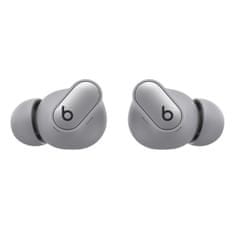 Beats Studio Buds +/ANC/BT/Wireless/Cosmic Silver