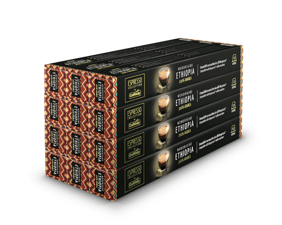 Caffitaly Nespresso compatible Ethiopia kavne kapsule, 12 * 10 kapsul