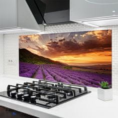 tulup.si Zidna obloga za kuhinju Področje lavender sunset 140x70 cm