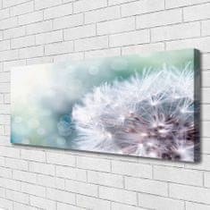 tulup.si Slika na platnu Dandelion rastlin 120x60 cm