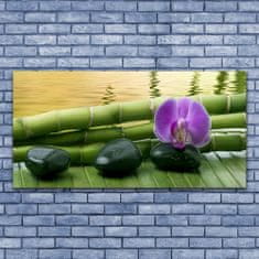 tulup.si Slika na platnu Flower stones bamboo narava 125x50 cm