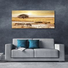 tulup.si Slika na platnu Zebra safari landscape 125x50 cm