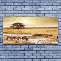 tulup.si Slika na platnu Zebra safari landscape 125x50 cm