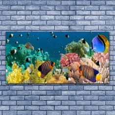 tulup.si Slika na akrilnem steklu Barrier reef narava 140x70 cm 2 obešalnika