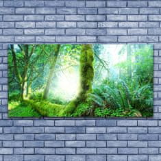 tulup.si Slika na akrilnem steklu Forest moss narava 140x70 cm 4 obešalnika