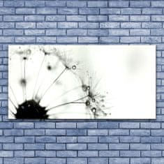 tulup.si Slika na akrilnem steklu Dandelion rastlin 140x70 cm 2 obešalnika