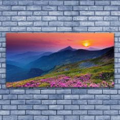 tulup.si Slika na akrilnem steklu Mountain travnik flowers landscape 140x70 cm 2 obešalnika