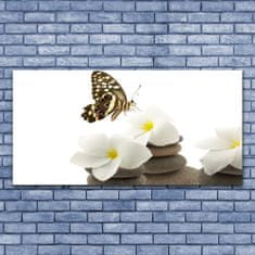 tulup.si Slika na akrilnem steklu Butterfly flower rastlin stones 140x70 cm 4 obešalnika